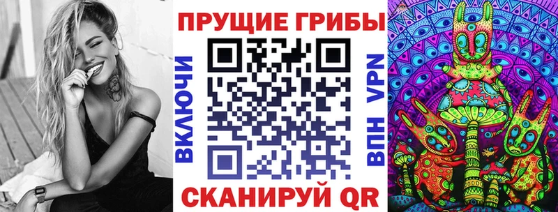 Псилоцибиновые грибы Psilocybe Купить Светогорск