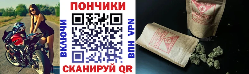 Купить  Светогорск  Канабис планчик 